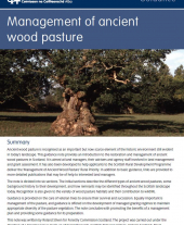 Management of Ancient Wood Pasture